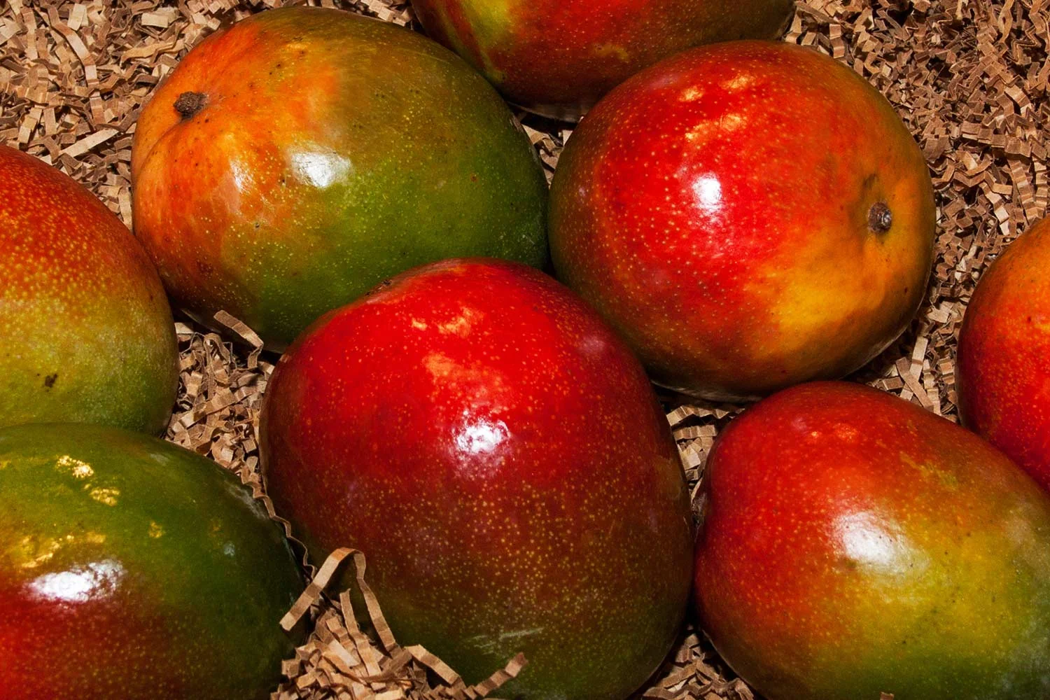 Fresh mangoes, RCF Distributors’ main produce specialty