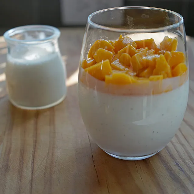 Yogurt Panna Cotta with Fresh Mango