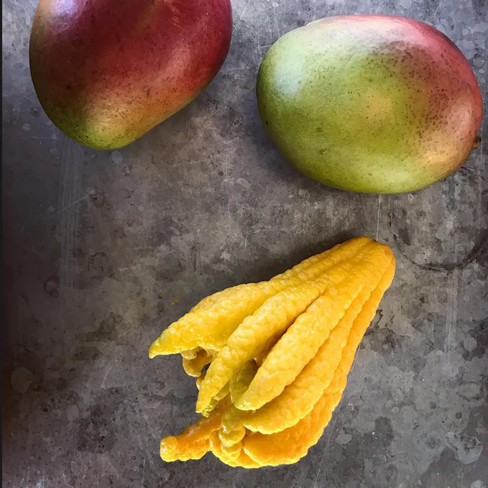 Mango (Buddha Hand) Vodka