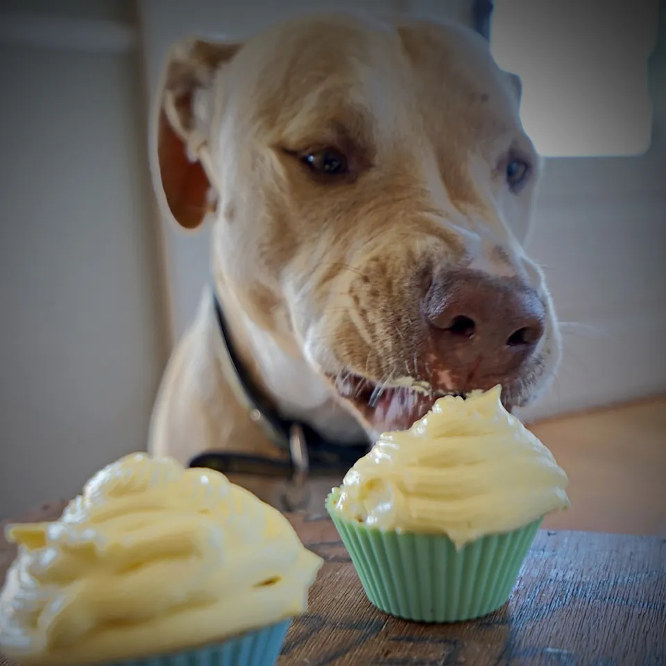 Mango Buttercream Frosting