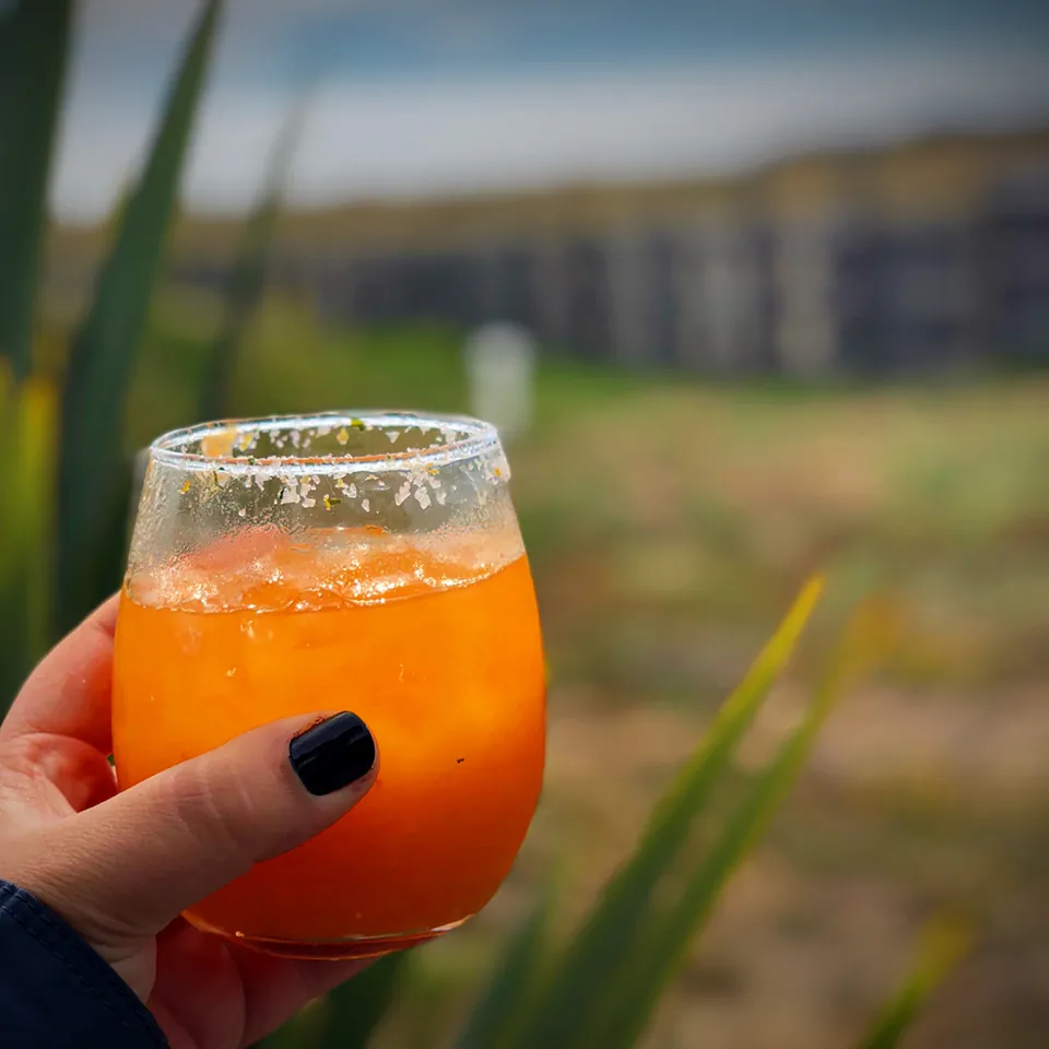 Persimmon Margarita with Mango Pit Mixer