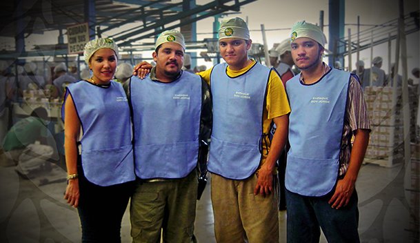 Members of the Crespo packing team at work in Mexico